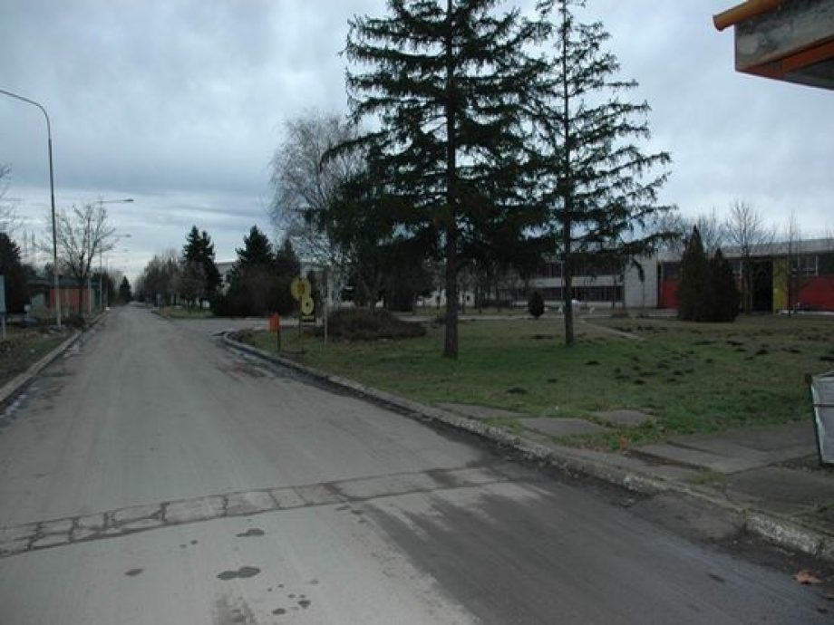 Hale za izdavanje