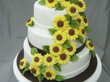 Mladenačke torte