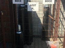 Azot N2 boce