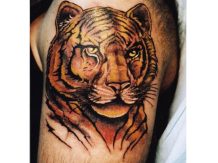 Tiger color