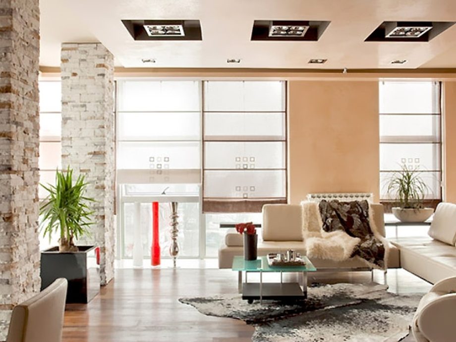 Salon zavesa Firange