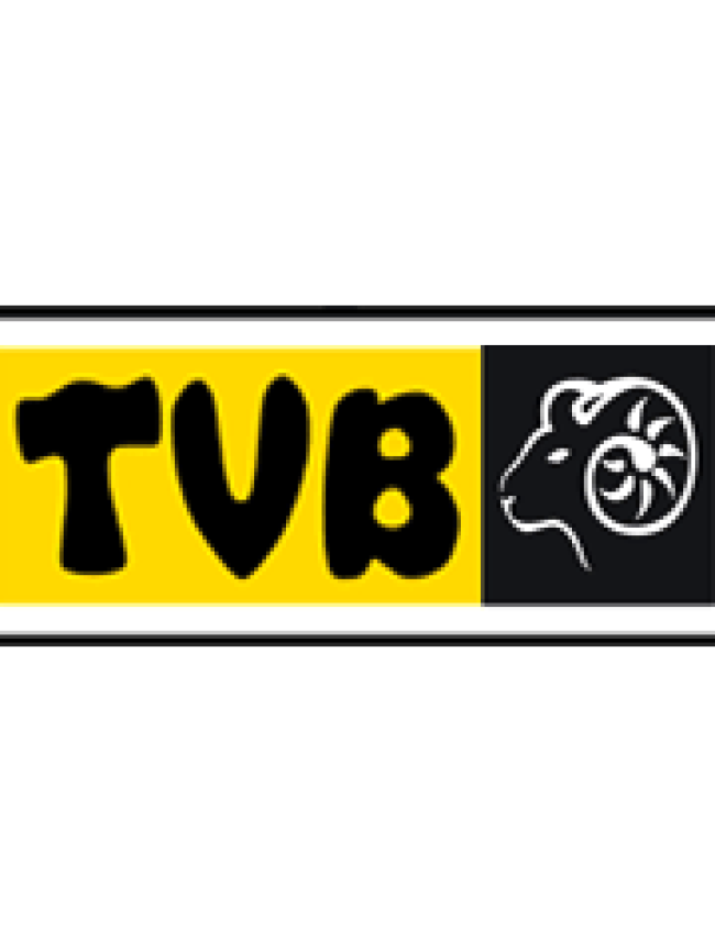 TVB doo